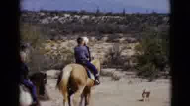 Clarksdale Arizona (1968): Boy Wearing Blue Shirt Rides White Pony On A Bright