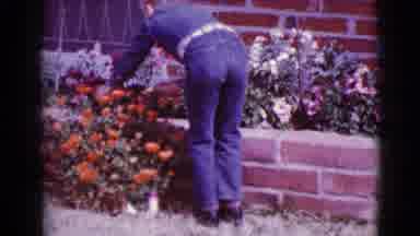 Clarksdale Arizona (1968): One Children Seeing Something In Flowers In The Side Of