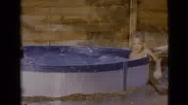 Clarksdale Arizona (1968): Two Children Playing In A Pool Splashing Water At Each