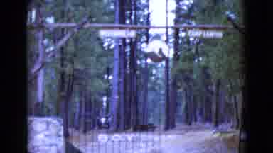Clarksdale Arizona (1968): The Forest Was Looking So Dangerous Because Of Lots Of