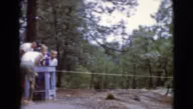 Clarksdale Arizona (1968): Children Are Enjoying Their Trip In Forest