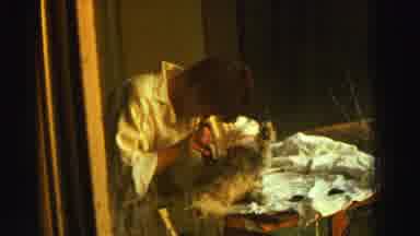 Reno Nevada (1969): Woman Lovingly Grooms Her Dog Who Sits Patiently For Her