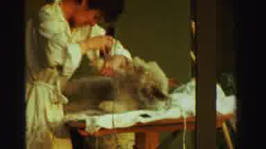 Reno Nevada (1969): Woman Grooming Dog On Table With Electric Hair Trimmer