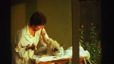 Reno Nevada (1969): A Woman Shaving A Dog's Fur Outside On A Sunny Day