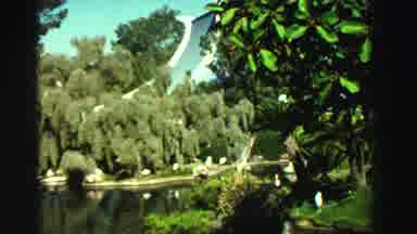 Reno Nevada (1969): People Stand And Take In The Views Of The Pond And The Trees