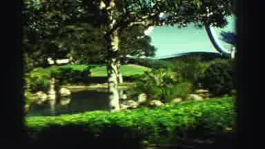 Reno Nevada (1969): Forest And A Boat With Fish In Net At Bottom