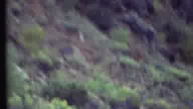 Grand Canyon Arizona (1972): Driving Down A Rugged Road With Some Sparse Shrubbery