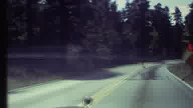 Grand Canyon Arizona (1972): A Few Road Cones And Construction Signs Are Seen As A