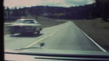 Grand Canyon Arizona (1972): A Car Travelling On Highway In Valley Which Has Green