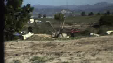 Grand Canyon Arizona (1972): Monkeys In Nature One Picking On Another Walking Cars