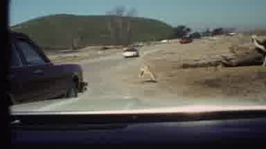 Grand Canyon Arizona (1972): Cars Driving By Elephants Giraffes And Other Animals