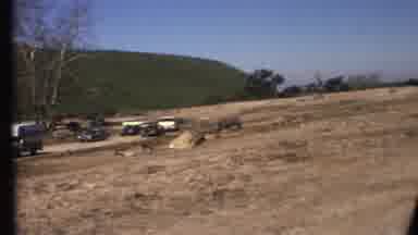 Grand Canyon Arizona (1972): Farm Scene With Animals And Cars Moving