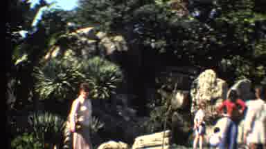 Grand Canyon Arizona (1972): Visiting A Zoo Holiday