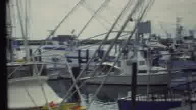 Grand Canyon Arizona (1972): Lots Of Boats All Parked In A Harbor Floating On