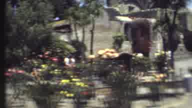 Grand Canyon Arizona (1972): People Walking And Birds Flying In Garden With A