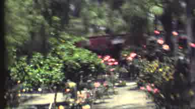Grand Canyon Arizona (1972): We Are Going On Vacation To Take A Look At A Lot Of