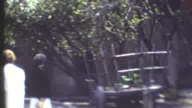 Grand Canyon Arizona (1972): 2 Ladys Looking At Plants Or Trees Wood Fencing Other