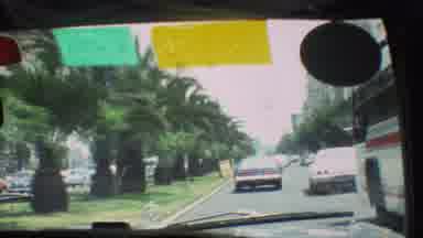 Mexico City (1973): Video Clip Of Someone Driving Down The Strip Along Side Palm