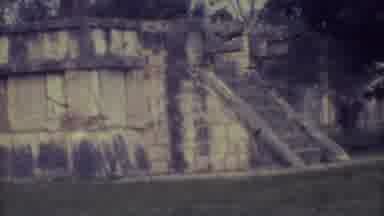 Yucatan Mexico (1973): Large Stone Structure Large Tree With In Nature A Few Birds