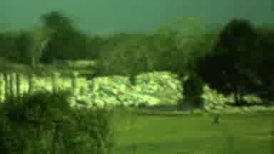 Yucatan Mexico (1973): Green Field With Trees And Woman Sitting Enjoying Nature