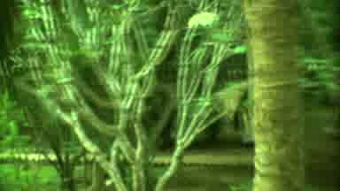 Yucatan Mexico (1973): A Day In Green Park The Mini Golf Tree Course