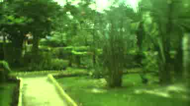 Yucatan Mexico (1973): It Is The Nature Place Looking Like A Very Beautiful