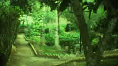 Yucatan Mexico (1973): Pathway Of Stonework Throughout The Cemetery Beautiful