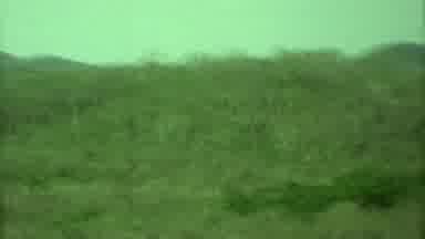 Yucatan Mexico (1973): Hills And Brown Fields On A Sunny Day