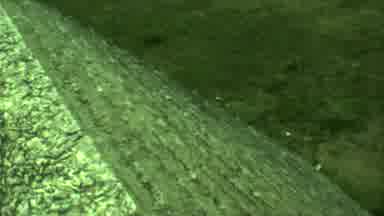 Yucatan Mexico (1973): Green Stairs Leading Upward Near A Pile Of Rocks