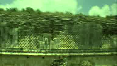 Yucatan Mexico (1973): Beautiful Old Wonders With Stone Walls And Vibrate Green