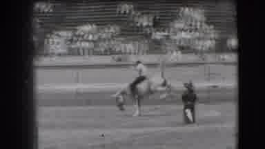 Denver Colorado USA-1941: Man Tries To Stay On White Horse While It Bucks