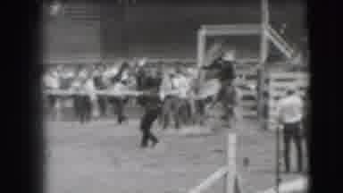 Denver Colorado USA (1941): Race Obstacle Horses