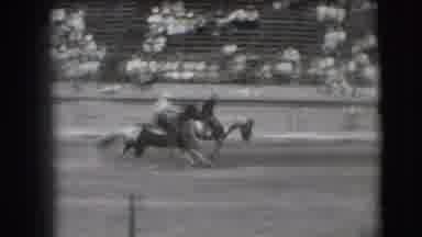 Denver Colorado USA (1941): Multiple Horses And Their Riders Entertaining An