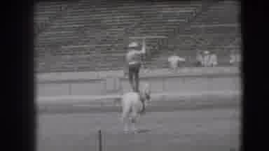 Denver Colorado USA (1941): Old-School Rodeo Show Man Standing On His Horse