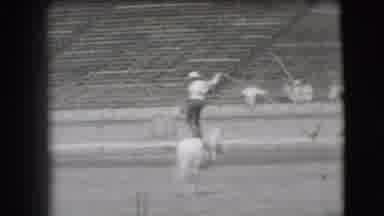 Denver Colorado USA (1941): Cowboy In Arena Standing On Horse Grabs Other Horse