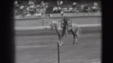 Denver Colorado USA (1941): Cowboy And Palomino Horse Perform For Crowd In Rodeo
