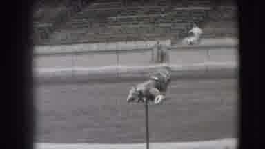 Denver Colorado USA (1941): A Black And White Video Of A Horse Collapsing To The