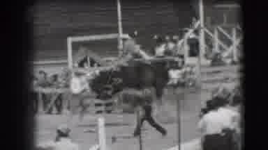Denver Colorado USA (1941): Horse Riding Competition In A Rodeo Slinging A Rider