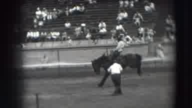 Denver Colorado USA (1941): Cowboy Riding Strong Bucking Bronco In Rodeo With His