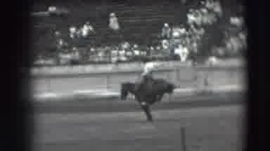 Denver Colorado USA (1941): Cowboy On Back Of Bucking Horse Trying To Stay On In