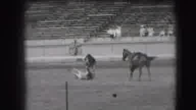 Denver Colorado USA (1941): Man Wearing Black Shirt Ties Steer With Rope At Rodeo
