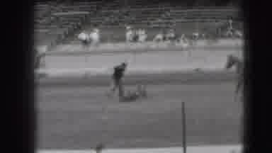 Denver Colorado USA (1941): Man Wearing Black Shirt Flips Tied Steer Over At Rodeo