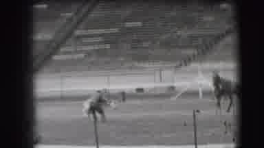 Denver Colorado USA (1941): A Man Dominated And Holding A Horse On A Sports Field