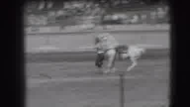 Denver Colorado USA (1941): A Black And White Video Of S Cowboy Lassoing A Cow On