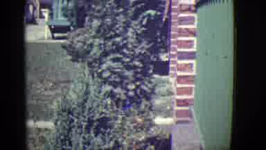 East Orange New Jersey (1946): Small Boy Walks Across Front Yard Towards The