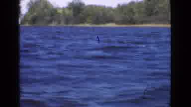 Quebec Canada (1946): View Of Green Trees And Blue Water On A Clear Sunny Day