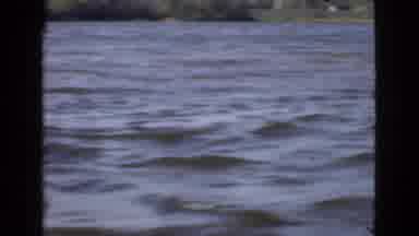 Quebec Canada (1946): Dog Standing On The Edge Of A Boat Looks Out At The Water