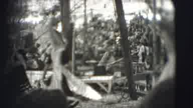 Ringling Brothers Sarasota Florida (1948): Peacock Bird Free Roaming Zoo Grounds