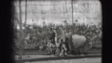 Ringling Brothers Sarasota Florida (1948): A Show In A Circus With People Riding