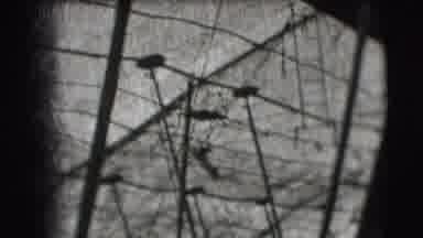 Ringling Brothers Sarasota Florida (1948): Black And White Video Of An Acrobat